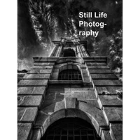 Juan Li still life photography