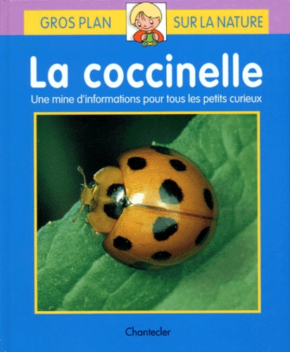 La Coccinelle De Li Jun Tsuei Album Livre Decitre