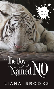 The Boy Named No
