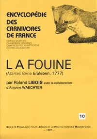 La fouine