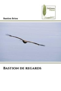 Bastien Brion - Bastion de regards.