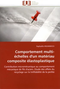 Comportement multi-échelles d'un matériau composite élastoplastique