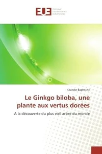 Le Ginkgo biloba, une plante aux vertus dorees