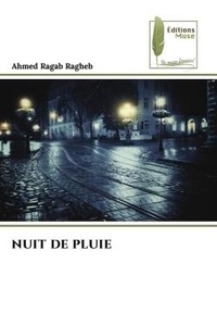 Ragheb ahmed Ragab - Nuit de pluie.