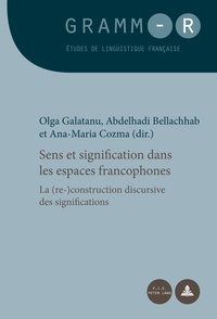 Sens et signification dans les espaces francophones - La (re)construction discursive des significations.pdf