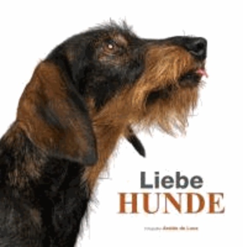 Araldo de Luca - Liebe Hunde.