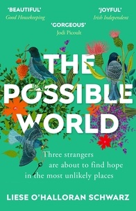 Liese O'Halloran Schwarz - The Possible World.
