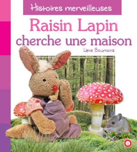 Lieve Boumans - Raisin le lapin cherche une maison.