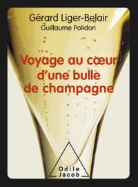 Voyage au cour d'une bulle de champagne
