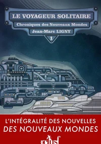Le voyageur solitaire