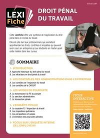Droit pénal du travail