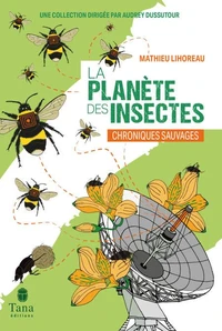 La planète des insectes