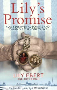 Lily's Promise