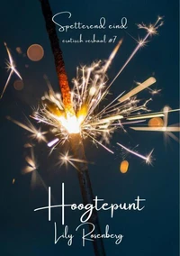 Hoogtepunt