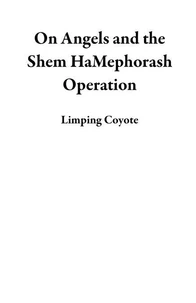 On Angels and the Shem HaMephorash Operation