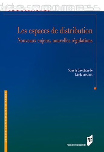 Les espaces de distribution. Nouveaux enjeux, nouvelles régulations