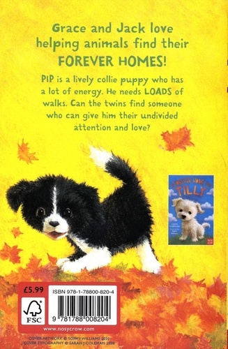 Forever Homes  A Forever Home for Pip