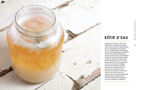 Kéfir Kombucha et autres boissons fermentées