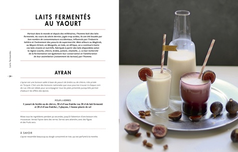 Kéfir Kombucha et autres boissons fermentées