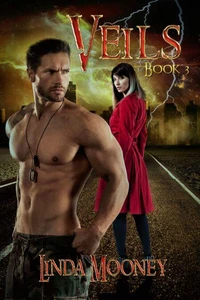 Veils, Book 3
