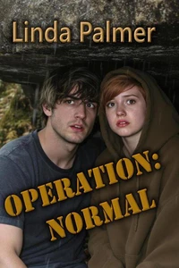 Operation:Normal