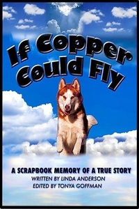  lindasfreelibrary - If Copper Could Fly a true story.
