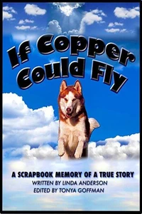 If Copper Could Fly a true story