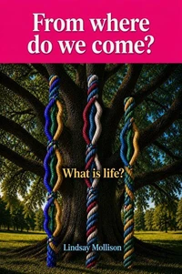 From where do we come?