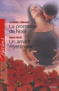 La promesse de Noël ; Un amant mystérieux