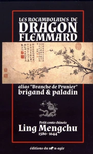 Les rocambolades de Dragon Flemmard alias "Branche de Prunier" brigand & paladin