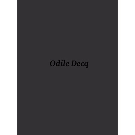 Lionel Lemire - The wunderkammer of Odile Decq.
