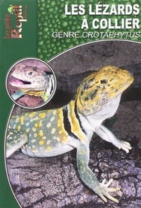 Le lézard à collier