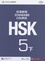 Standard Course HSK 5B