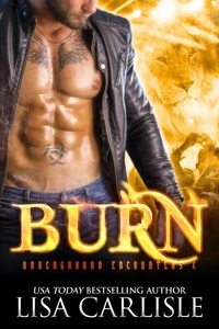 BURN: a shifter vs vampire enemies-to-lovers romance