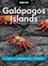 Moon Galápagos Islands. Wildlife, Snorkeling &amp; Diving, Tour Advice