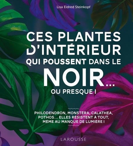 Ces plantes d'intérieur qui poussent dans le noir... ou presque. Bien choisir puis entretenir des plantes d'intérieur se contentant de peu de lumière