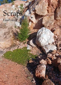 Scraps