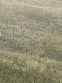 Navigating Life Thru Rentals, Small Business To ATM's