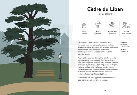 Arborama. Découvre et observe le monde merveilleux des arbres