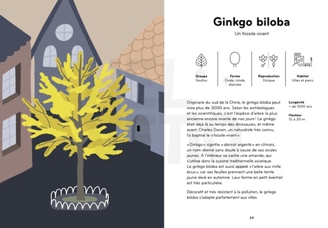 Arborama. Découvre et observe le monde merveilleux des arbres