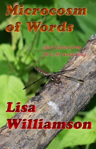  Lisa Williamson - A Microcosm of Words.