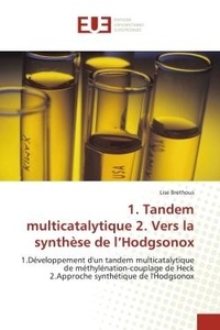 Lise Brethous - 1. Tandem multicatalytique 2. Vers la synthèse de l'Hodgsonox - 1.Développement d'un tandem multicatalytique de méthylénation-couplage de Heck 2.Approche synthétiqu.