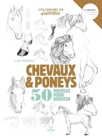 Chevaux et poneys