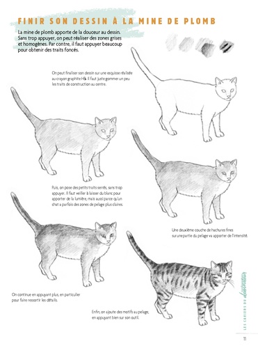 Dessiner les animaux. 50 modèles pour débuter