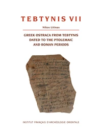 Tebtynis VII