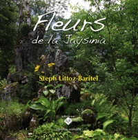 Fleurs de Jaÿsinia