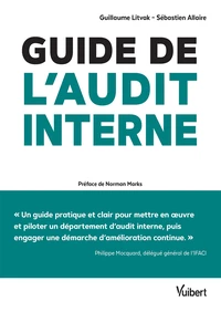 Guide de l'audit interne : Défis en enjeux - Théorie et pratique