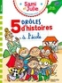 SAMI ET JULIE - FIN DE CP - CE1 - 5 DROLES D'HISTOIRES A L'ECOLE