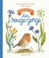 DANS MON JARDIN, IL Y A... - UN ROUGE-GORGE