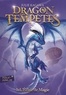 DRAGON DES TEMPETES - VOL01 - L'ECLAIR DE MAGIE
